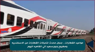 مواعيد القطارات.. جدول محدث لتحركات القطارات من الإسكندرية ومطروح وبورسعيد إلى القاهرة اليوم